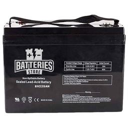 [V6-200B] 6V 225AH Battery